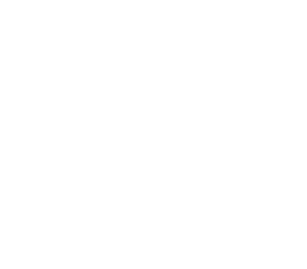 nutritech max pre workout venom brain icon